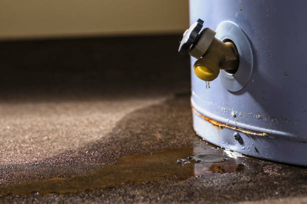 Best Commercial water damage restoration  in East Brady, PA
