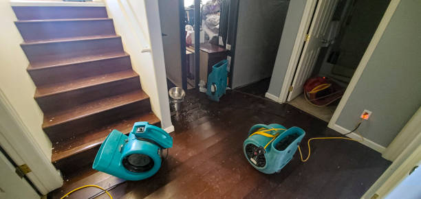 Best Emergency water damage restoration  in East Brady, PA