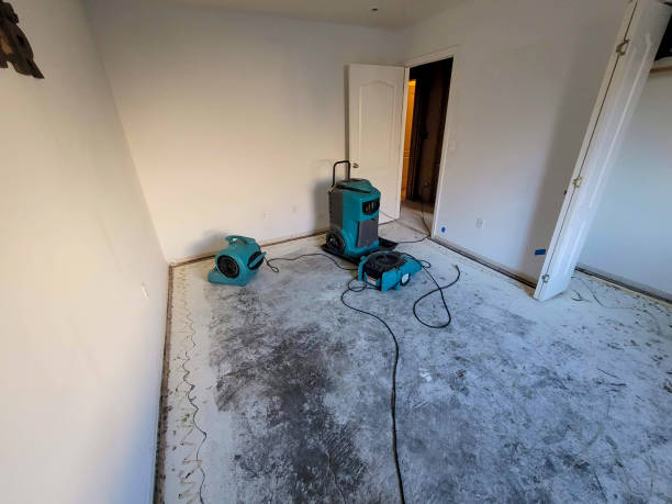 Best Residential water damage restoration  in East Brady, PA