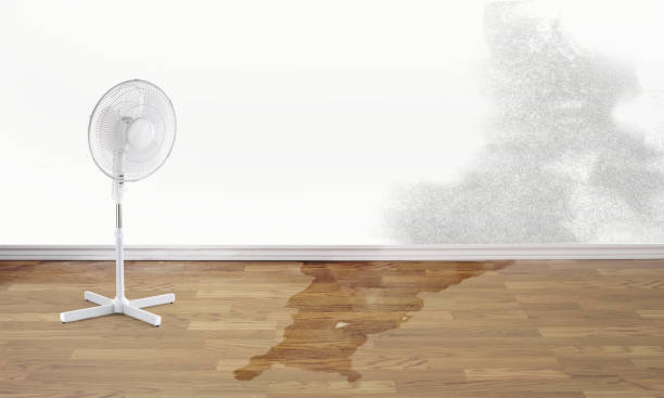 Best Water damage restoration near me  in East Brady, PA