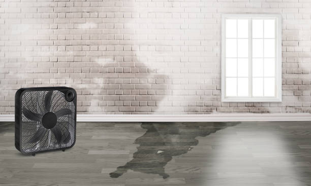 Best Commercial water damage restoration  in East Brady, PA
