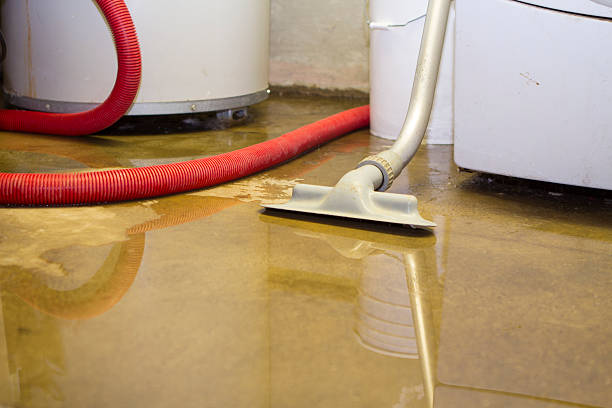 Best Ceiling water damage repair  in East Brady, PA