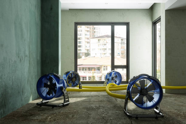 Best Carpet water damage restoration  in East Brady, PA
