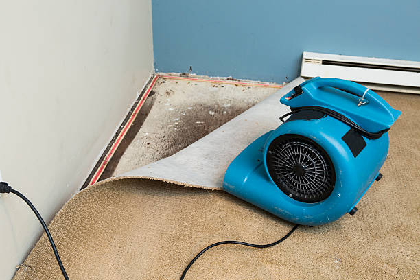 Best Flooded house restoration  in East Brady, PA